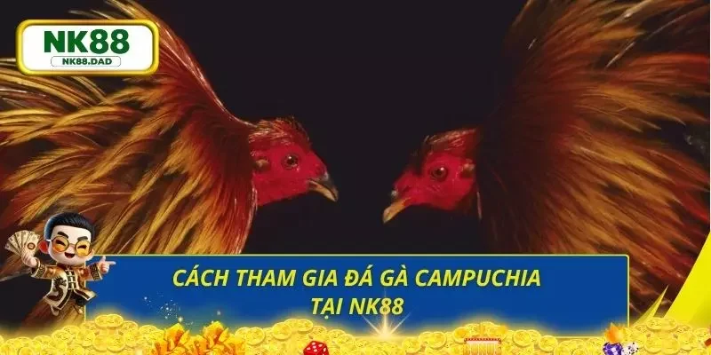 Hướng dẫn nhanh cách tham gia sân chơi đá gà