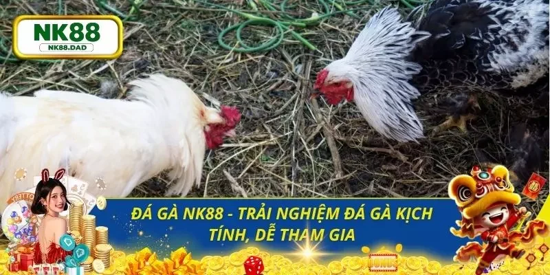 Đá gà NK88
