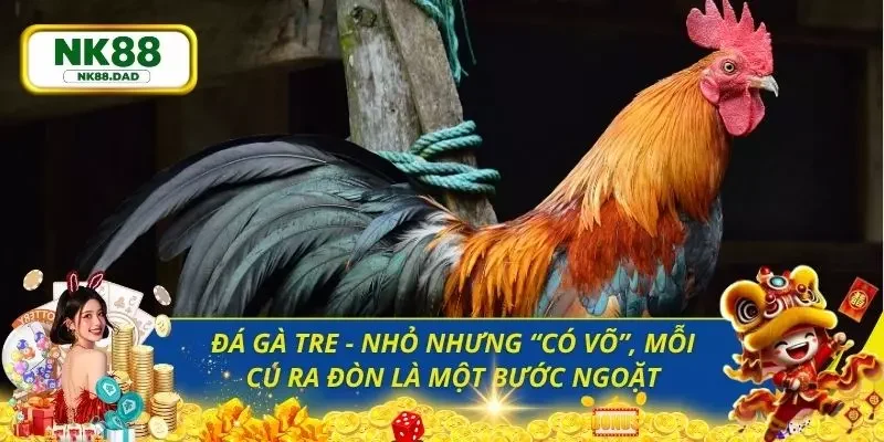 Đá gà tre