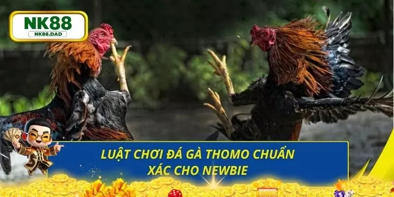 Người mới cần nắm rõ từng quy tắc trước khi tham gia