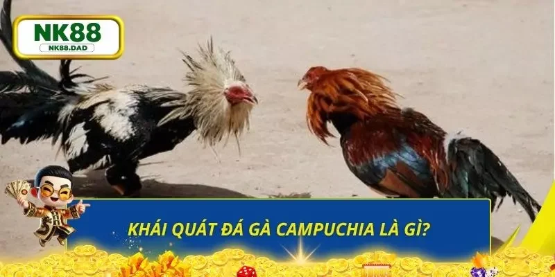 Sơ lược các thông tin về sân chơi đá gà đầy hấp dẫn
