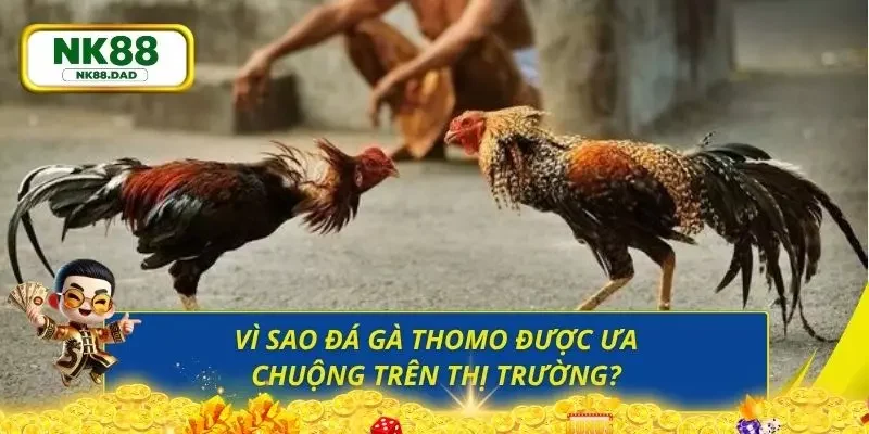 Ưu điểm làm nên thương hiệu của sân chơi uy tín đá gà 